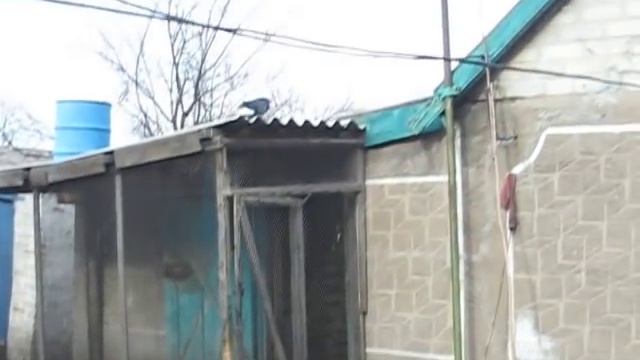 25 марта 2019г по многочисленым просьбам ДОЛГОНЮК ВИКТОР ИВАНОВИЧ смотреть онлайн