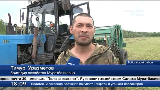 Сенокос в Тобольске смотреть онлайн