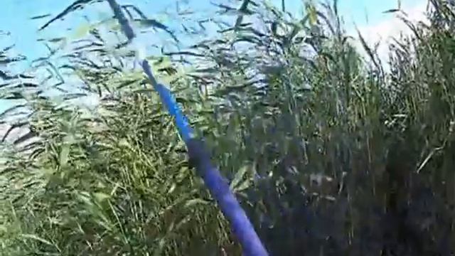 Ловля карася- озеро Сарсанги смотреть онлайн