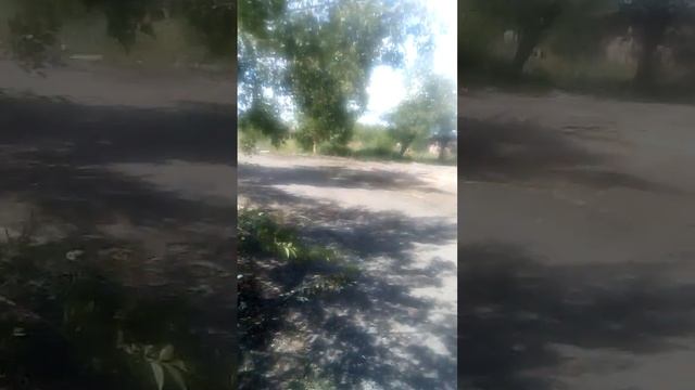 Очищенная территория на месте снесённых бараков на ул.Рабочая 121, 123, 125, 127 смотреть онлайн