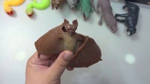 ПОЙМАЛ летучую мышь! НОЧНЫЕ ХИЩНИКИ от СбабАм вся коллекция