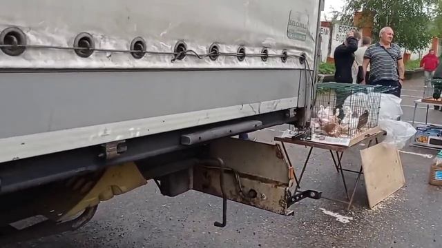 ИСТРА 20.08.23 ПТИЧИЙ РЫНОК#обзор# смотреть онлайн