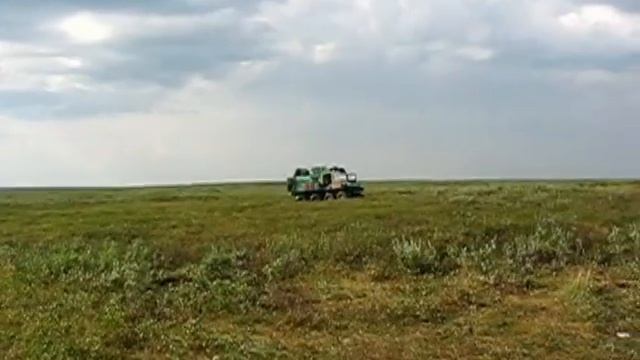 Тундра смотреть онлайн