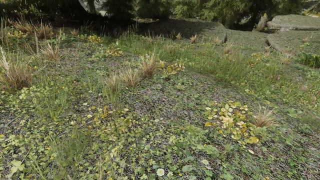 My Skyrim Custom ENB Overcast Weather Test смотреть онлайн