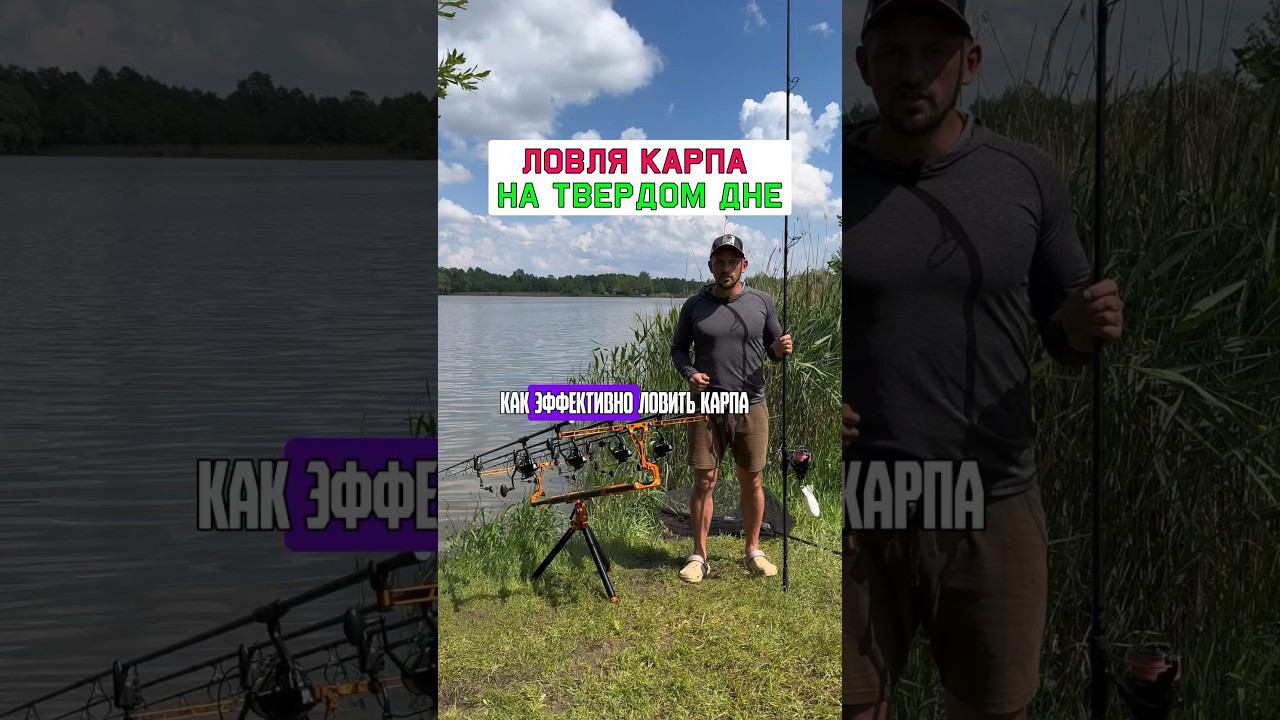 Эффективная ловля карпа на твёрдом дне #карпфишинг смотреть онлайн