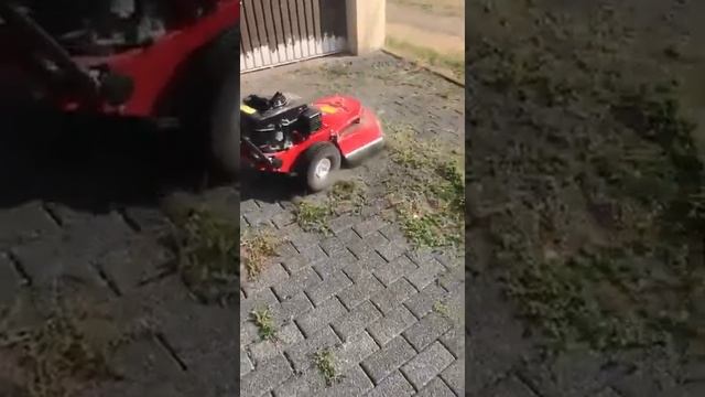 Машина для чистки плитки и брусчатки Tielbuerger TW50s