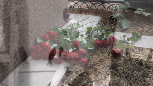 «Белые ландыши - "Остановись, прохожий..."» | Дыхание поэзии смотреть онлайн