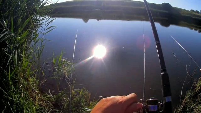 Начался клев карпа на Дубине. Экспресс-выпуск + маяк на сайте. смотреть онлайн