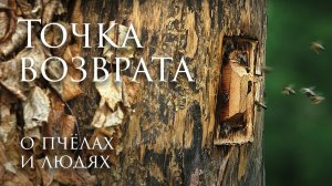 Точка возврата, 2021. Документальный фильм о пчёлах и людях.