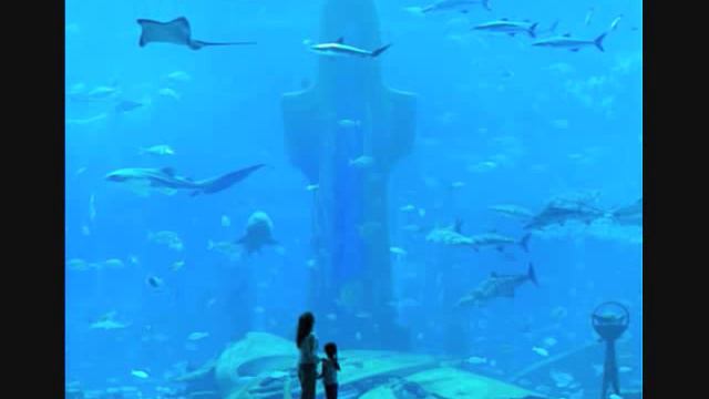 Grand Opening Atlantis Hotel - Dubai (Revisited) смотреть онлайн
