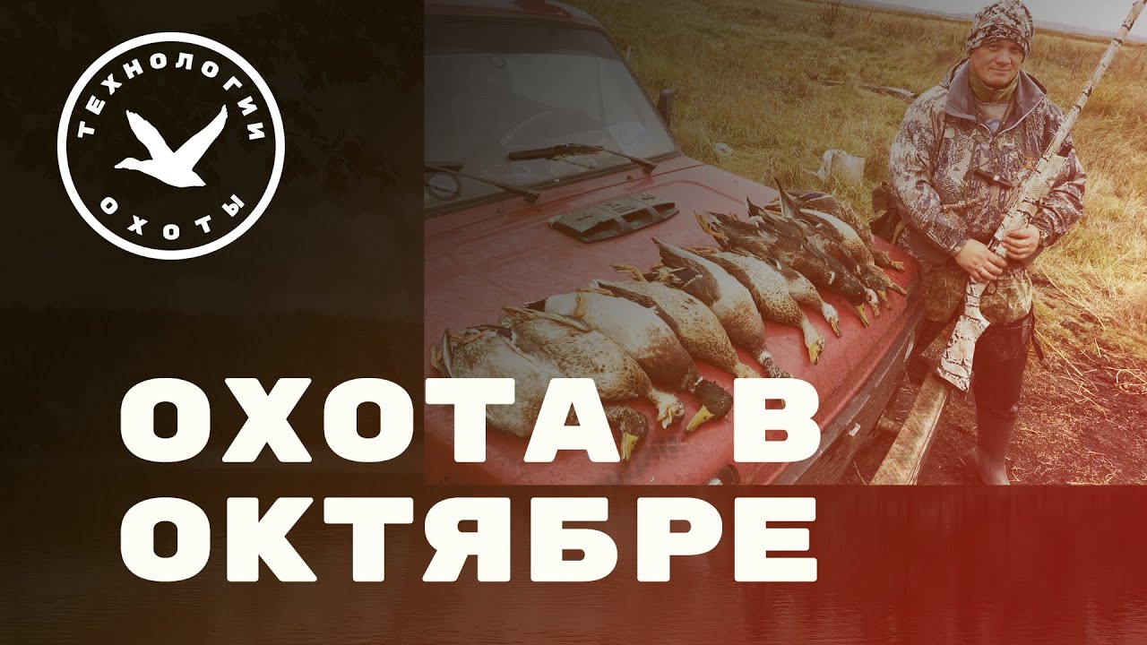 Охота в октябре - пока нет северной утки смотреть онлайн