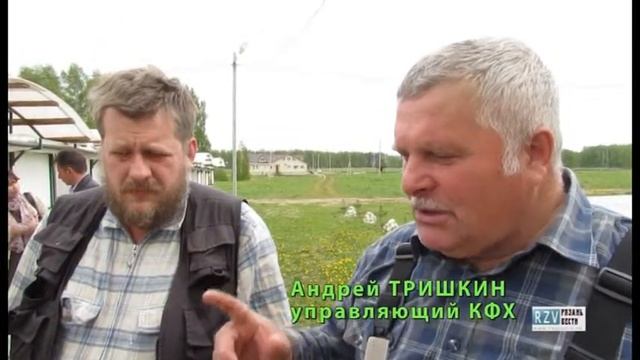 Кролик это не только ценный мех, но и... смотреть онлайн