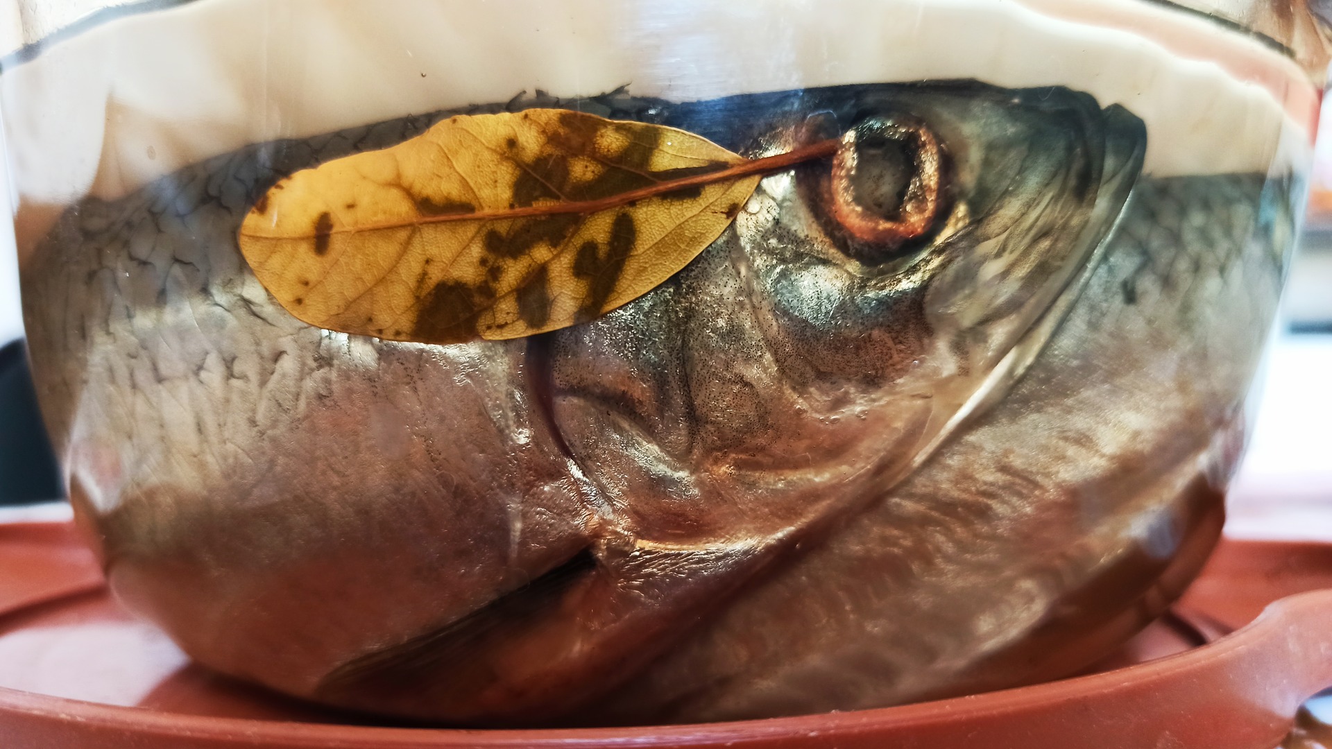 Как приготовить малосолёную сельдь в домашних условиях смотреть онлайн