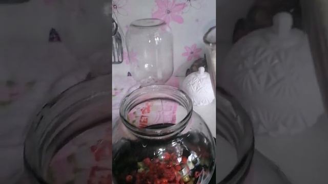 Заготовки на зиму. смотреть онлайн