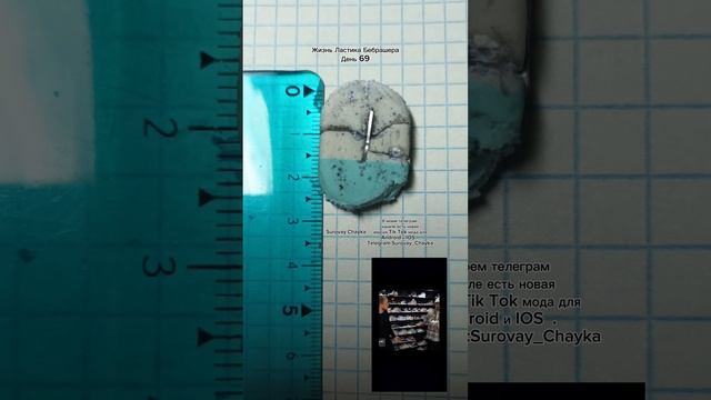 Это жизнь Ластика Бебрашера. Я буду каждый день выкладывать, что с ним стало за один день. #ластик