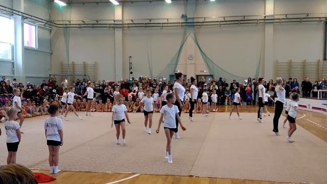 19.11.2016 выступление в СК "Мечта" г.Новомосковск, команда "Багира" худ.гимнастика смотреть онлайн