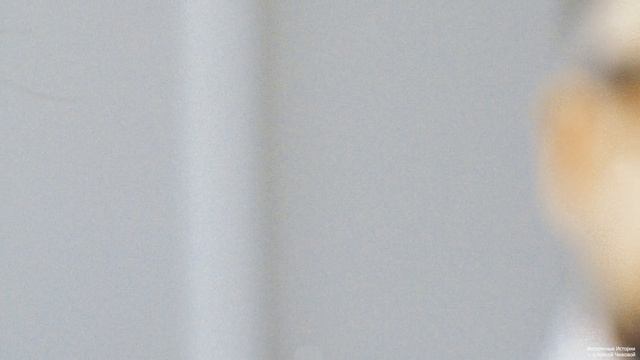 Брат и сестра встретились через 30 лет: он был прокурором, а она подсудимой… смотреть онлайн