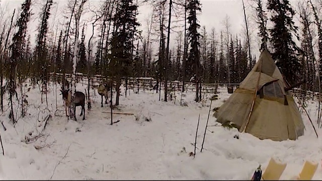 3. Эвенкия. Хрупкий мир Севера.