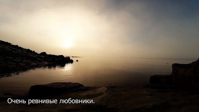 РАКИ - 25 точных фактов об этом знаке зодиака. смотреть онлайн