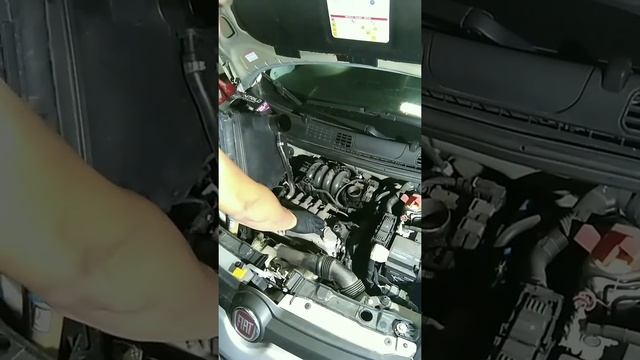 Como cambiar bujías y bobina en un Fiat panda de 2015 смотреть онлайн
