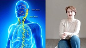 Блуждающий нерв_Как определить, что нервная система не в порядке