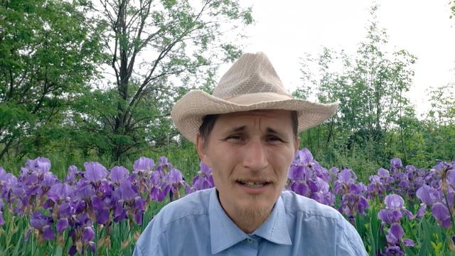 Зачем нужна борода и стоит ли брить бороду. смотреть онлайн