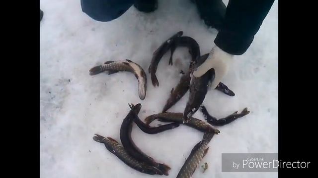 Синявинские карьеры , Зимний улов смотреть онлайн