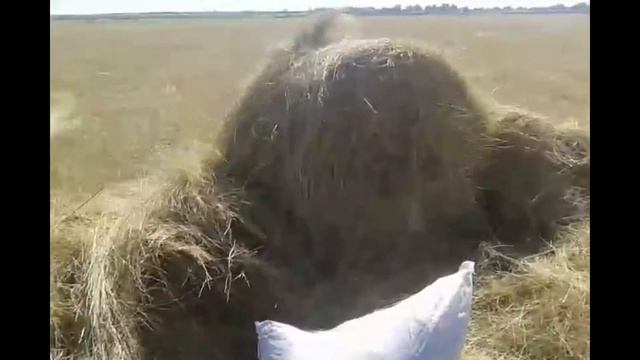 бесплатное сено для кроликов на зиму! смотреть онлайн