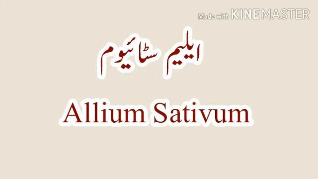 Allium Sativum Uses By Sahibzada Dr.M Ismail Khan Niazi