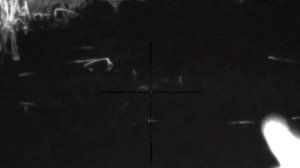 ночная охота с 223 калибром.