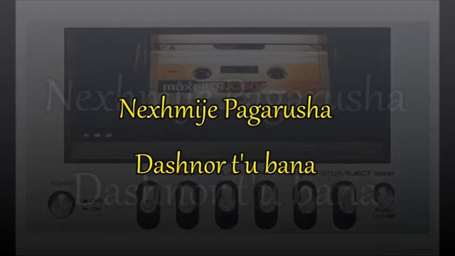 Nexhmije Pagarusha  Dashnor T'u Bana