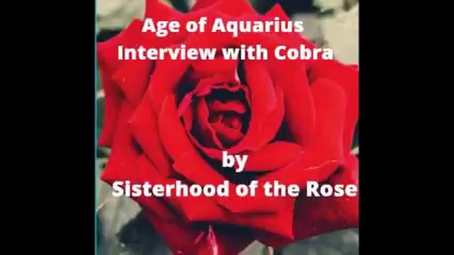 Age Of Aquarius Interview With Cobra By Sisterhood Of The Rose