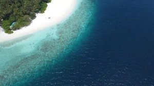 Камаду, Мальдивы! Kamadhoo, Maldives! Манты, Летучие Лисицы, Крабы, Дельфины!