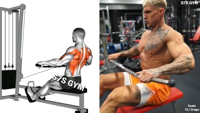 Exercises to Build A Big Back смотреть онлайн