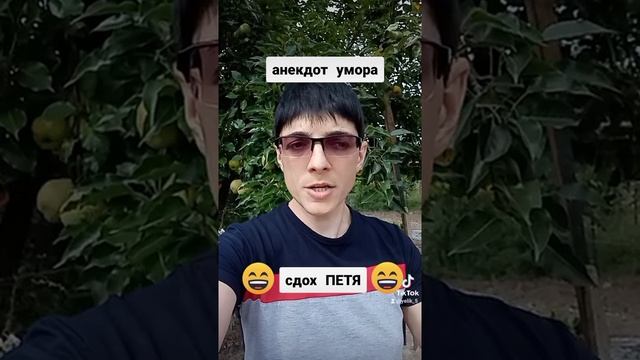 Анекдоты про блондинок ( непростой петушок) смотреть онлайн