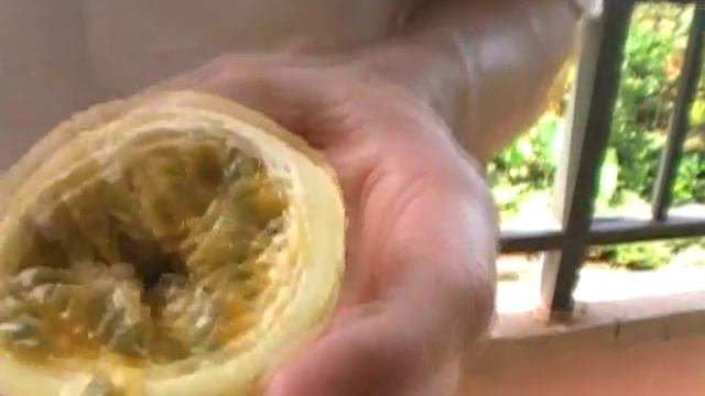 How to...Eat Passion Fruit смотреть онлайн