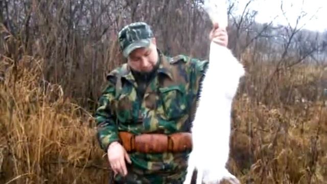 Охота на зайца. смотреть онлайн