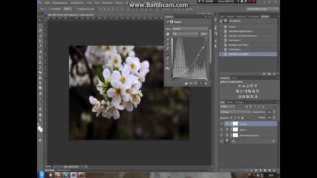 ЦВЕТОКОРРЕКЦИЯ ФОТОГРАФИИ в фотошопе // #ПомощьВидеоблогерам смотреть онлайн