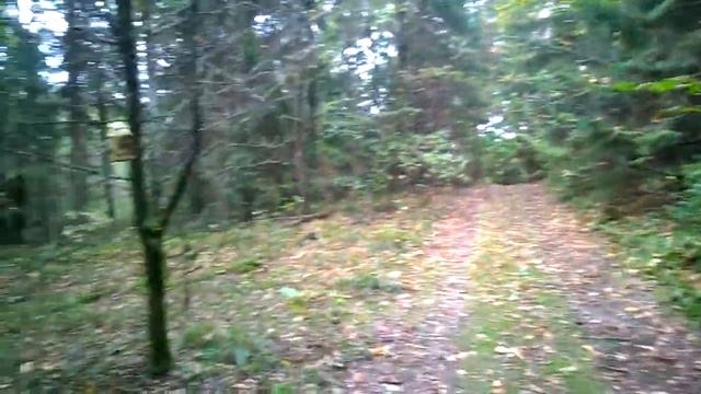 Дуплянки или как привлечь птиц на помощь жителям хуторов. смотреть онлайн