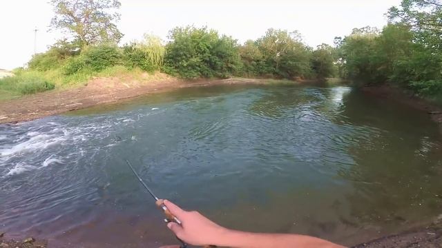 Ловля голавля спиннингом на малой реке в Ростовской области. 1 сезон выпуск 1