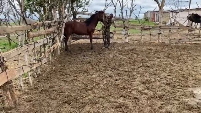 Второй день обучения. смотреть онлайн