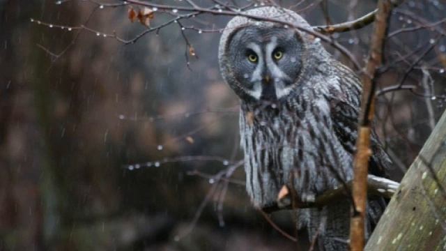 Народні прикмети. Вересень смотреть онлайн