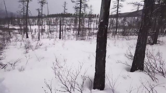 ТАМ ГДЕ НЕТ ЛЮДЕЙ / ДАЛЕКО В ТАЙГЕ / ДЕНЬ 2 смотреть онлайн