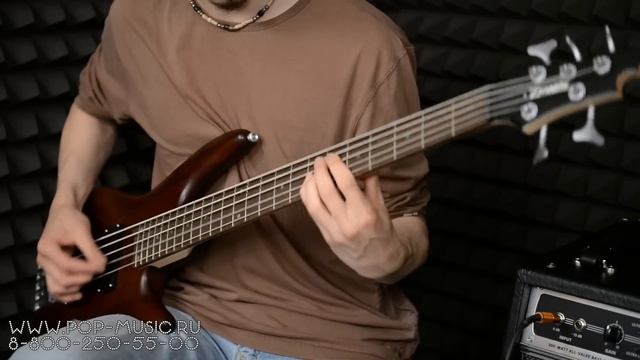 Дешевый пятиструнный бас ZOMBIE RMB-60-5 смотреть онлайн