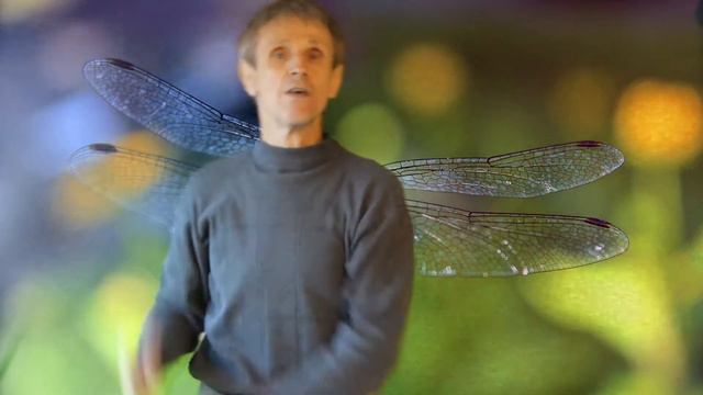 ОБИДНЫЙ СЛУЧАЙ. НИКОЛАЙ ПОЛОТАЙ. ИСПОЛНЯЕТ ИГОРЬ ШЕВЕЛЁВ смотреть онлайн