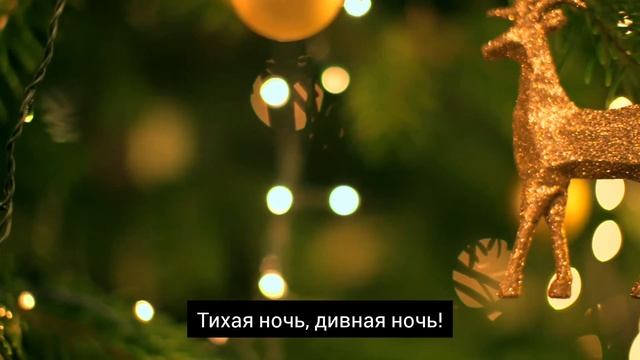 Красивая христианская песня: Тихая ночь, дивная ночь! со словами МСЦ ЕХБ смотреть онлайн