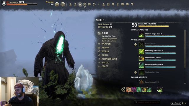 Arcanist 1vX PvP Build Elder Scrolls Online смотреть онлайн