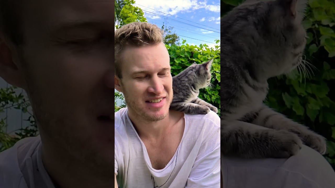 вышли на прогулку #shorts смотреть онлайн