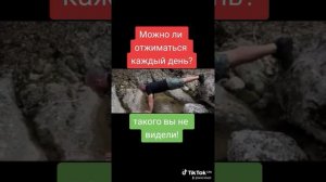 Можно ли отжиматься каждый день