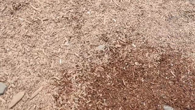 VLOG Роза-Хутор Сочи смотреть онлайн